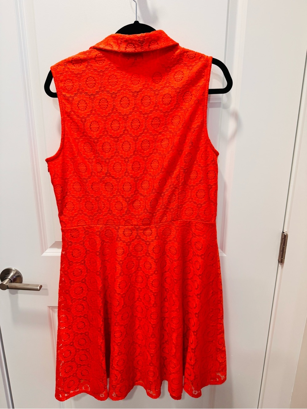 New York & Company Bright Orange Sleeveless Lace Fit-and-Flare Dress - Picture 3 of 3
